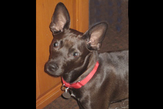 sabrina4648formatted