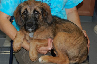 heather5318formatted